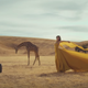 A still from Taylor Swift’s music video for “Wildest Dreams”
YouTube